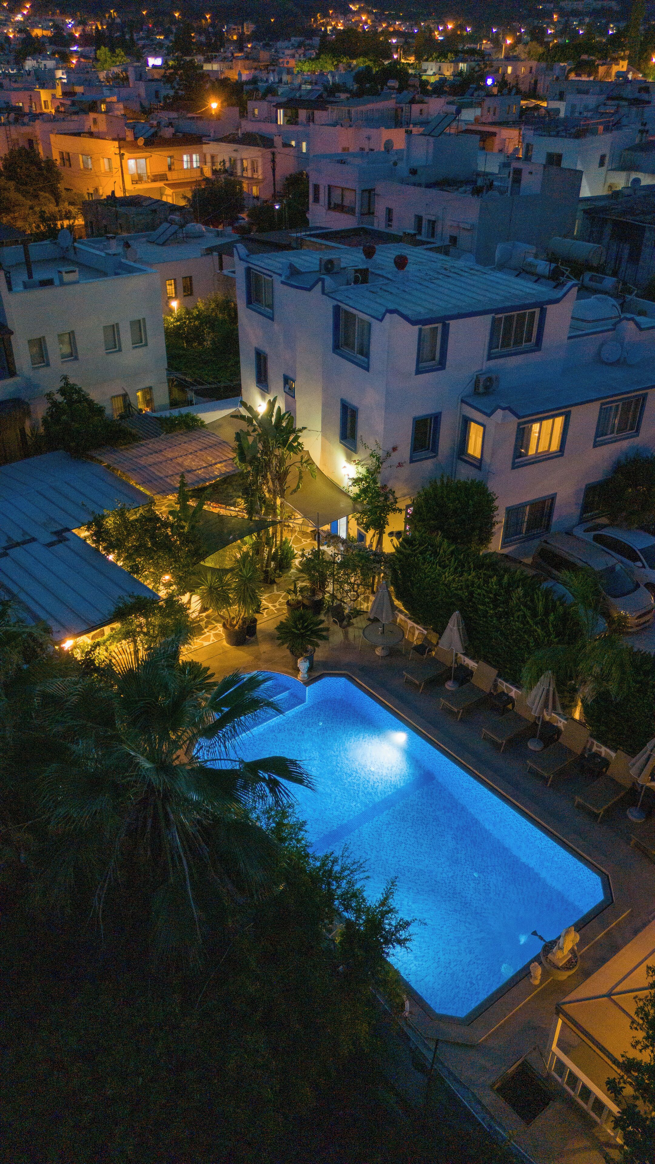 A residential area with a swimming pool surrounded by palm trees and outdoor furniture.