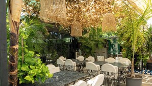 Un café al aire libre con mesas y sillas, rodeado de macetas con plantas y lámparas de mimbre colgantes.