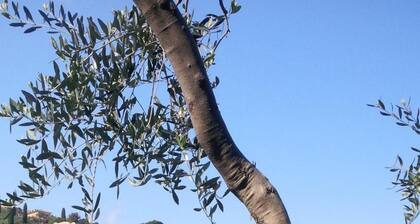 Albergo Ristorante La Greppia