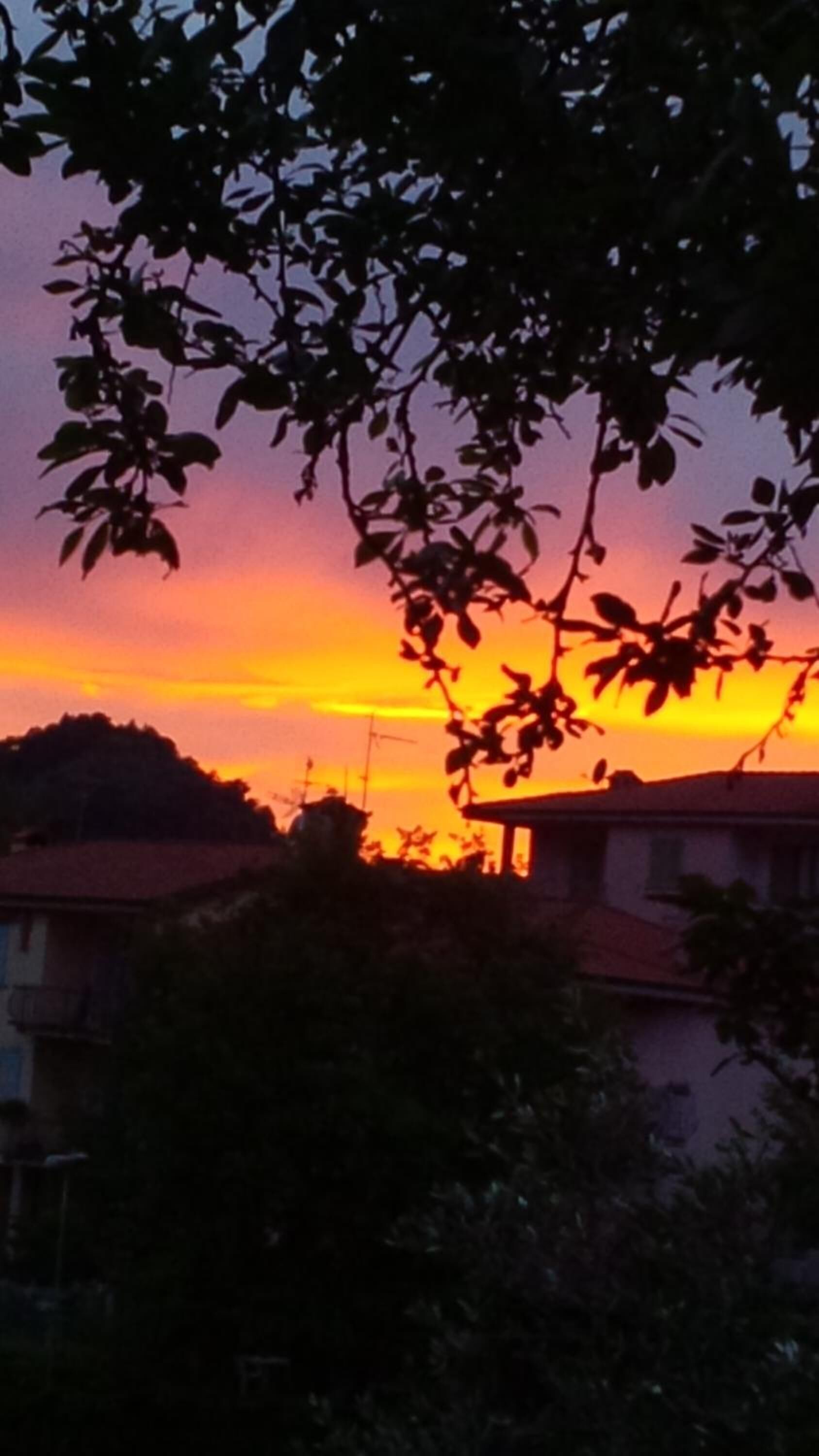 A sunset with silhouettes of buildings and trees.