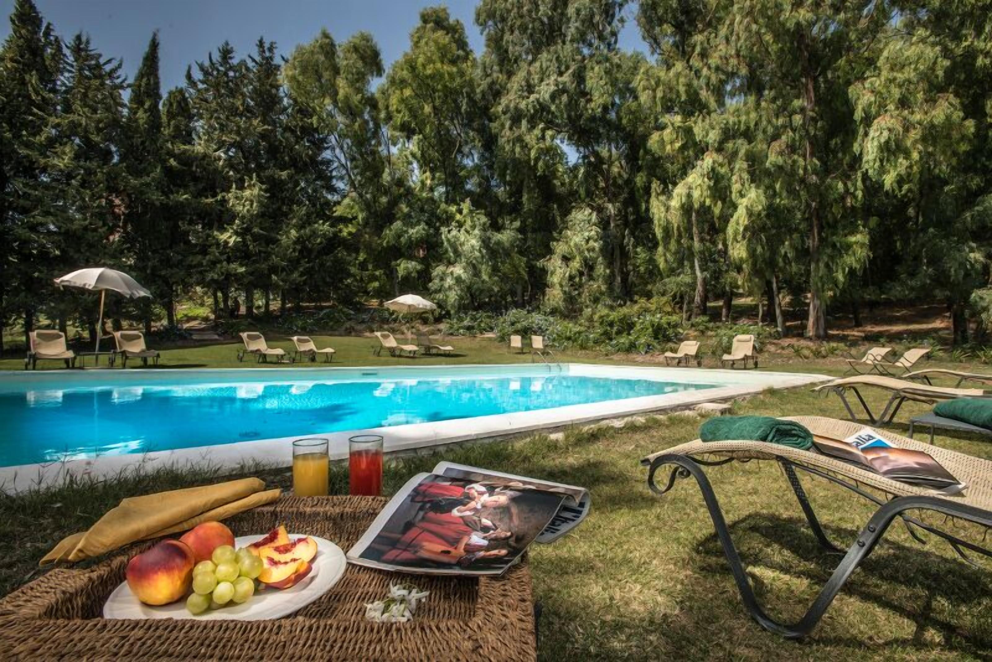 Outdoor pool, sun loungers