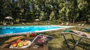 Zona junto a la piscina con sillones, una mesa con frutas y una bebida, y una piscina rodeada de árboles.