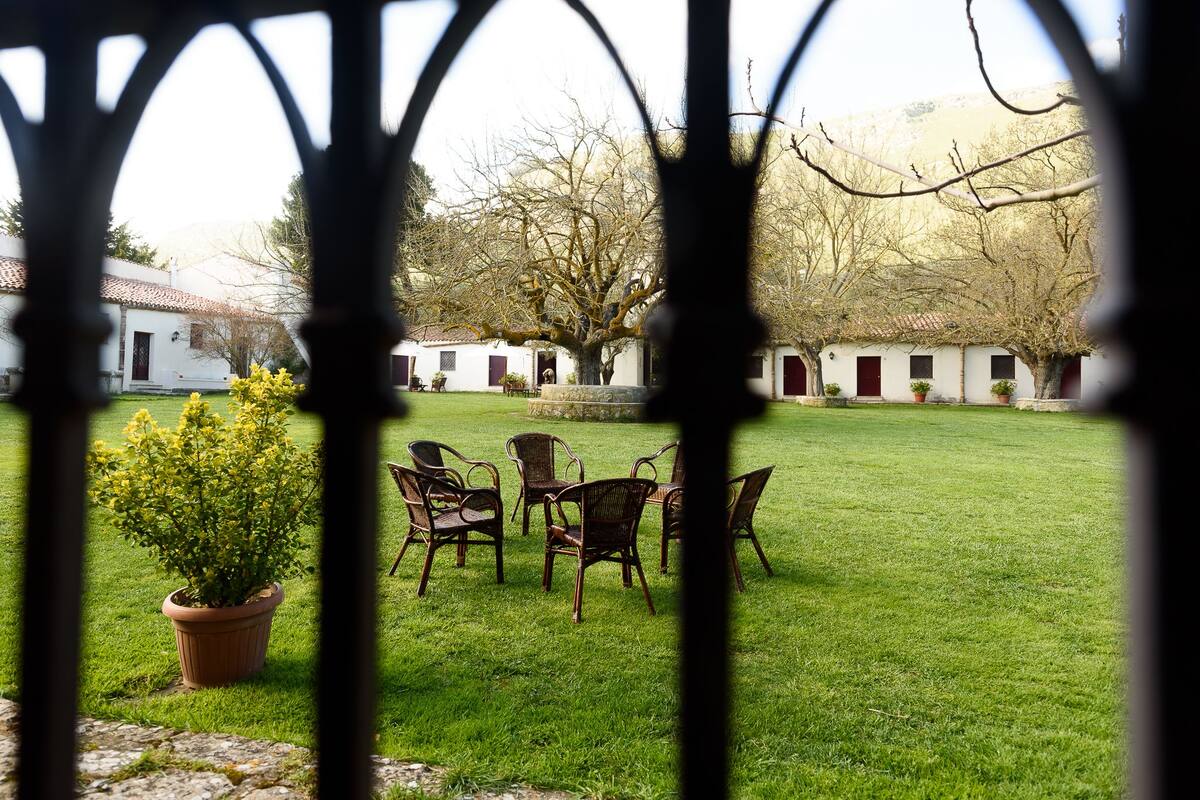Un patio con césped, sillas y una planta en maceta.