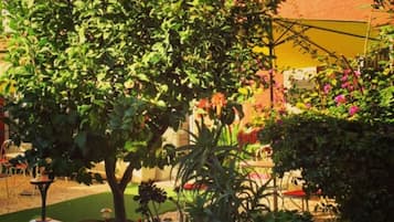 Jardín