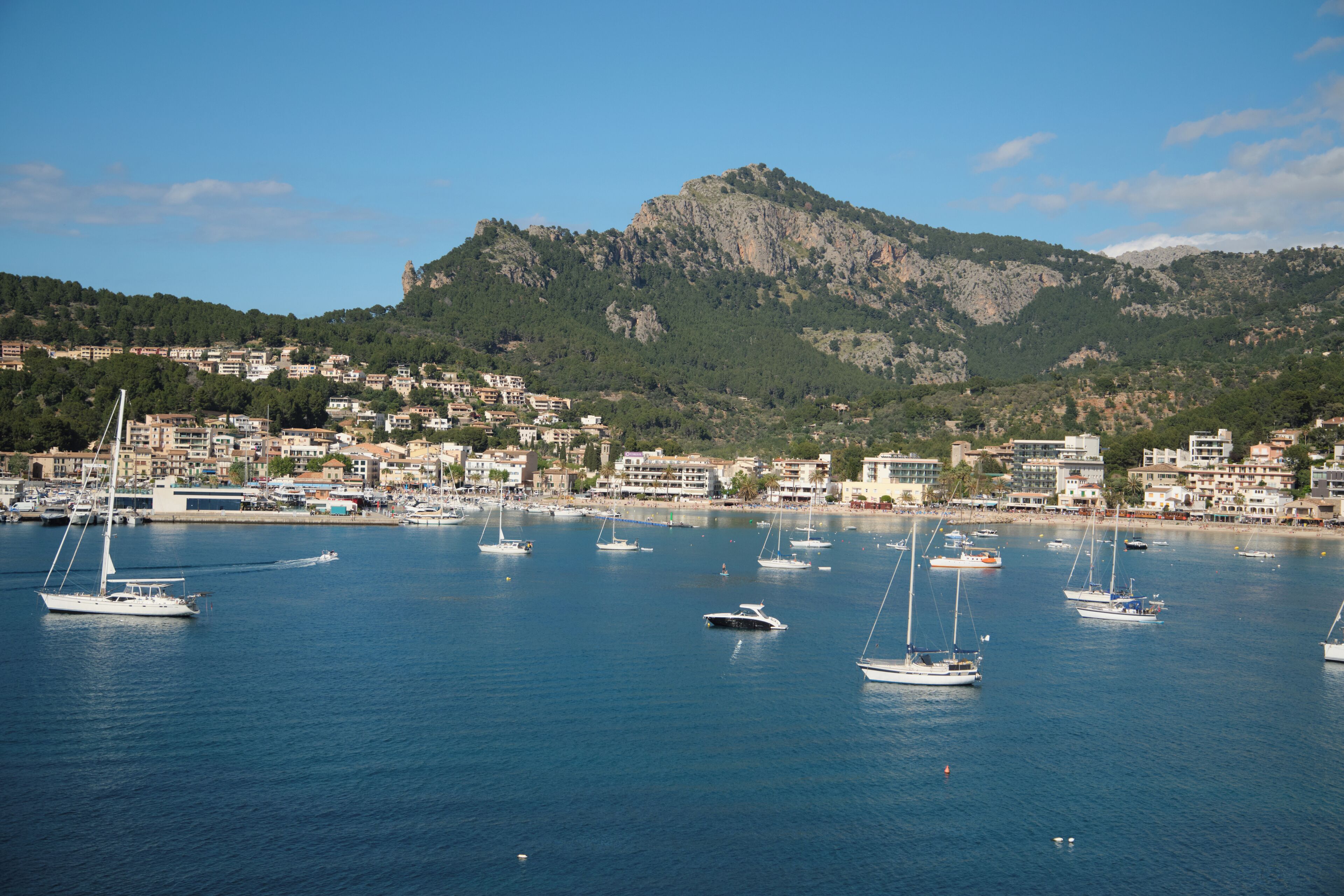 A marina with multiple sailboats docked, surrounded by buildings and a mountainous backdrop.
