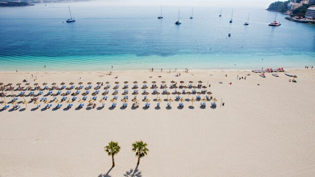 A beach with rows of umbrellas and palm trees, boats in the water, and a clear sky. - Globales Nova (Calvia)