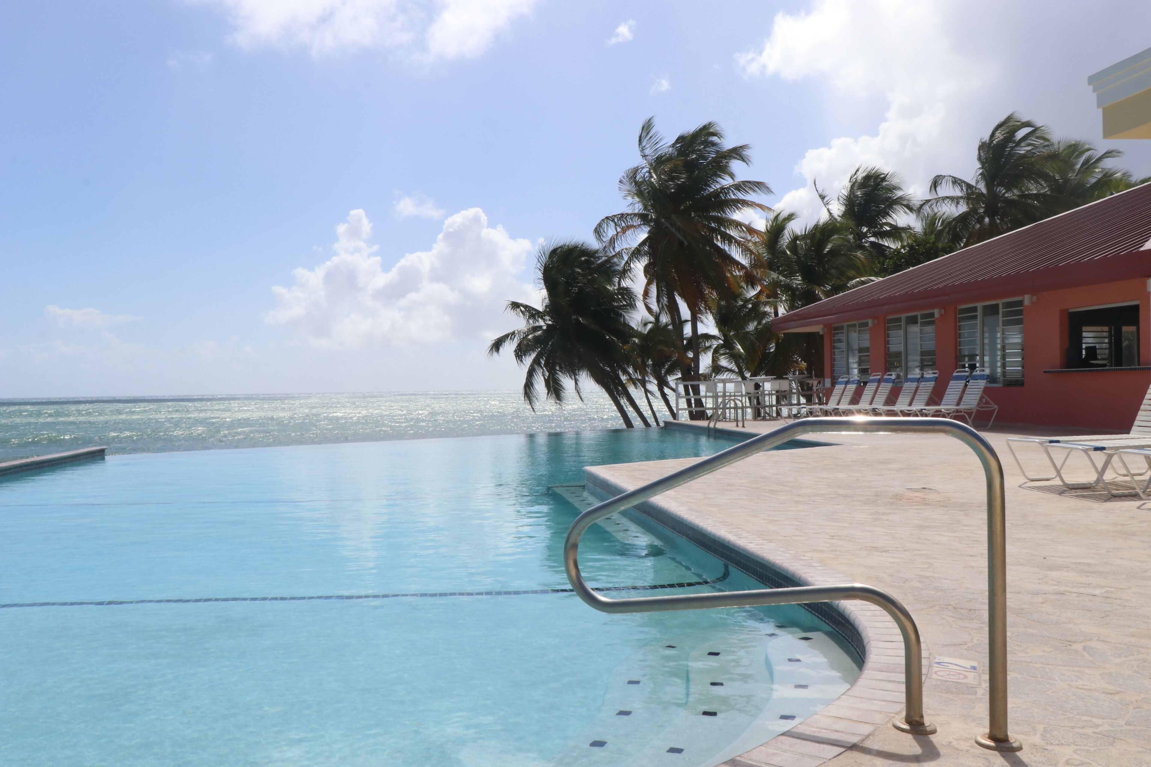 A clear blue pool with a metal ladder, palm trees, and a building with a red roof.