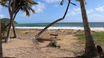 Uma praia com palmeiras, um balanço e vista para o oceano.