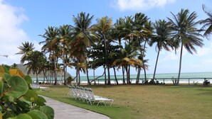 A beachside area with palm trees, a concrete path, and white lounge chairs. - Parador MaunaCaribe (Maunabo)