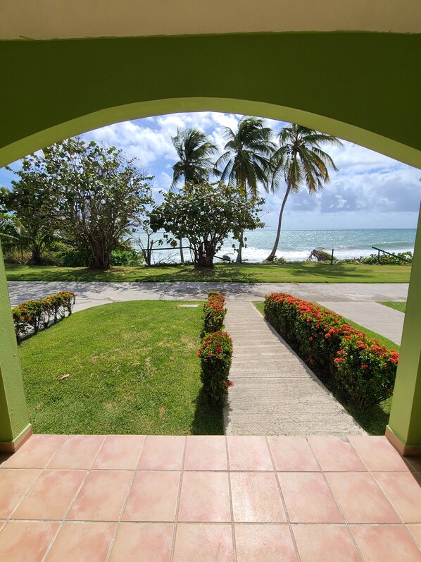 Terrace/patio - Parador MaunaCaribe (Maunabo)