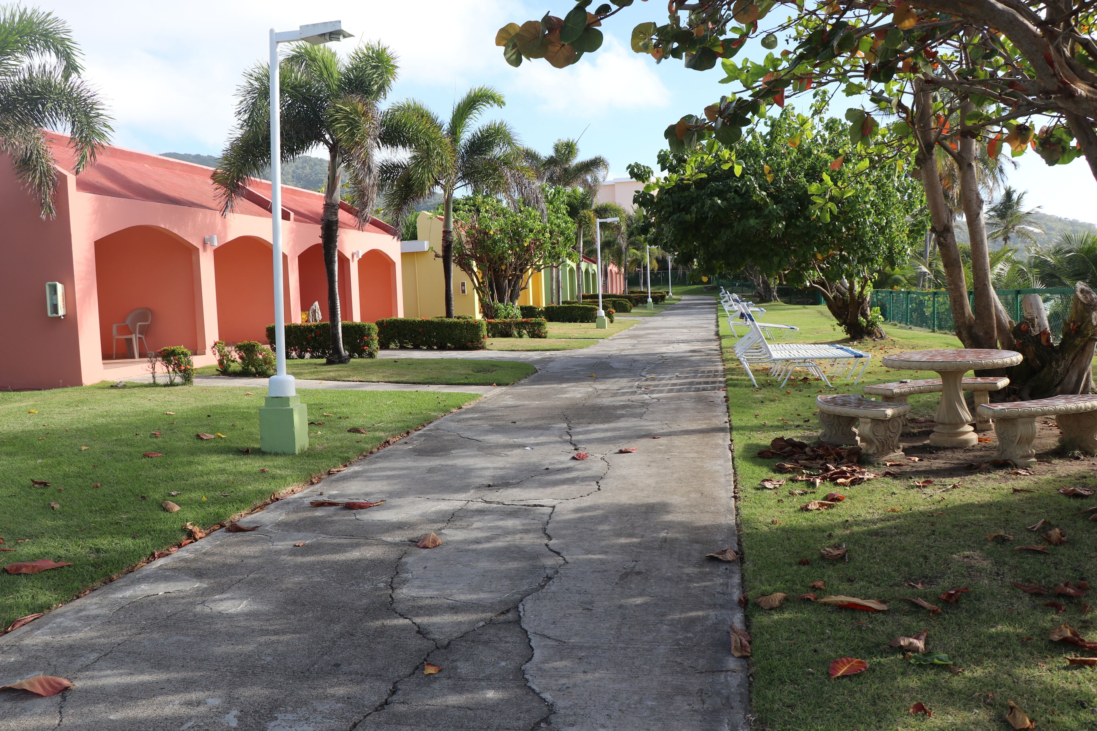 A pathway lined with palm trees and benches, leading to a building with arched windows and a green lawn.