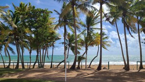 A beach with palm trees and a clear view of the ocean. - Parador MaunaCaribe (Maunabo)