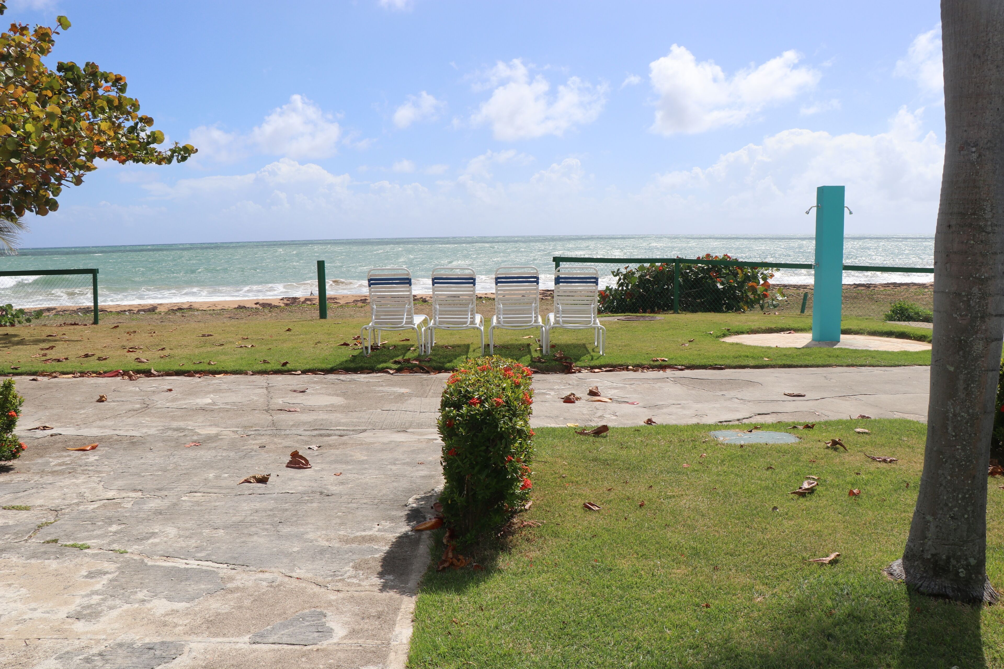 A beachside seating area with a view of the ocean, a small bush with red flowers, and a concrete path leading to the beach.