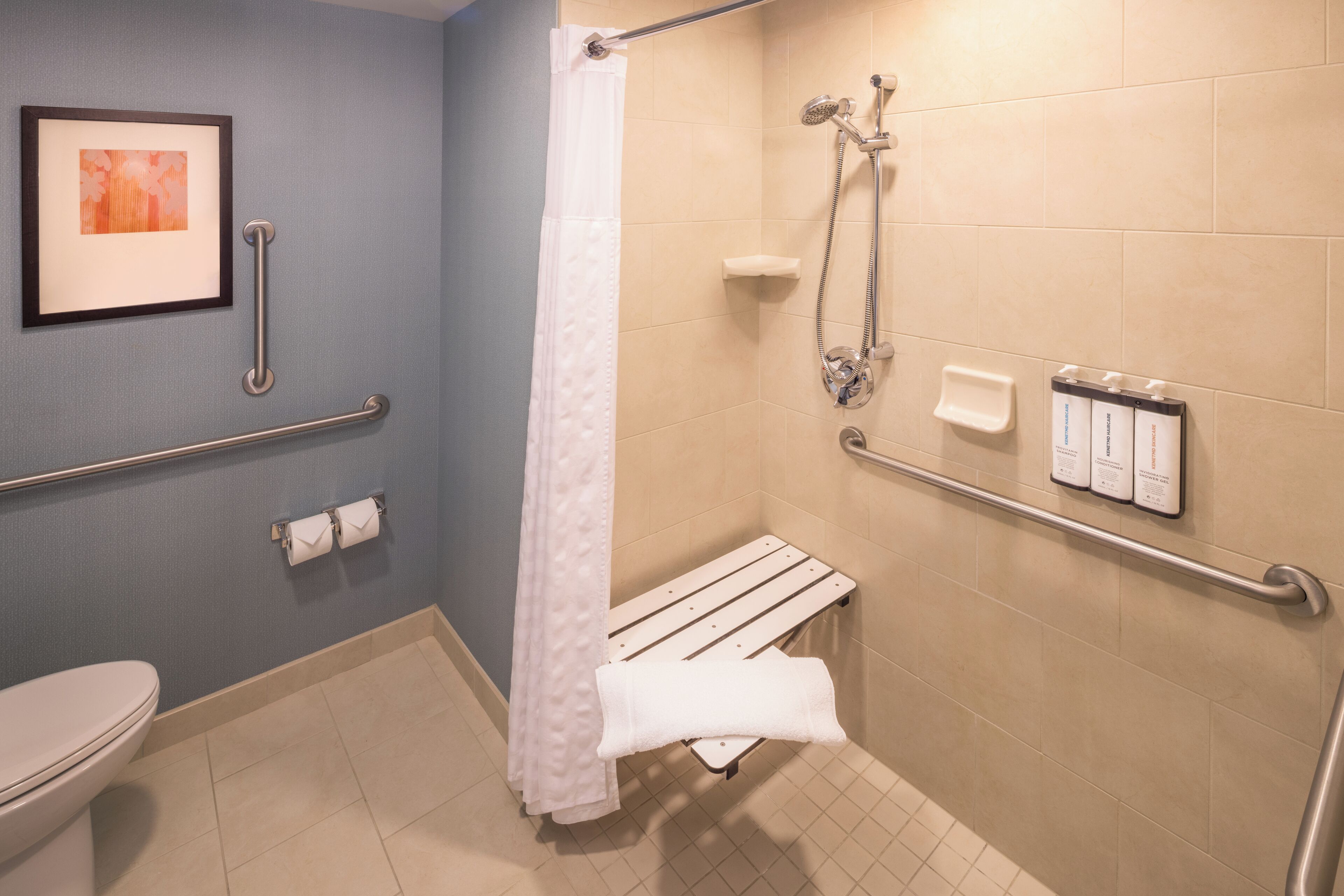 A bathroom with a shower, toilet, and handrails.