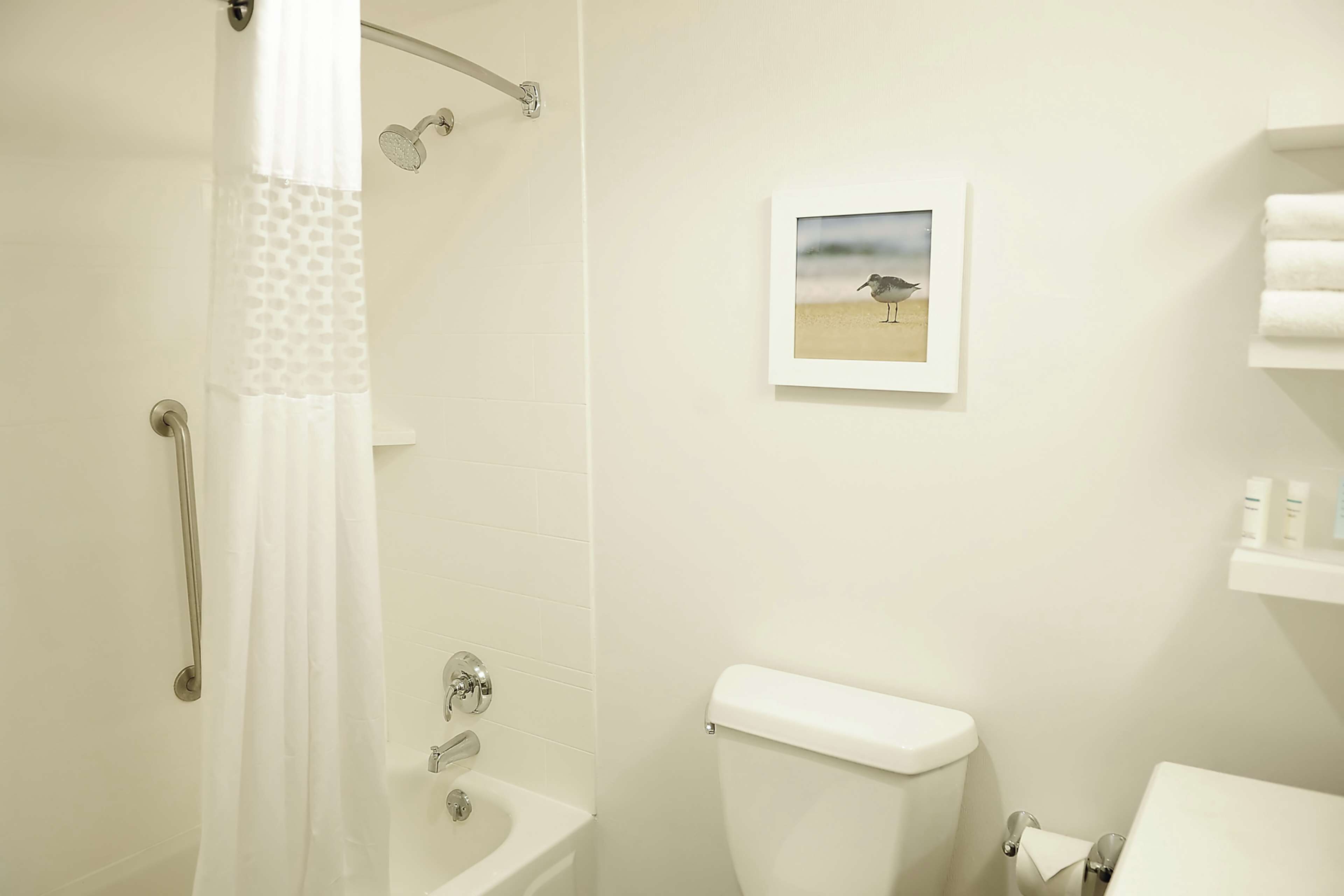 Un baño con ducha, inodoro y un cuadro enmarcado en la pared.