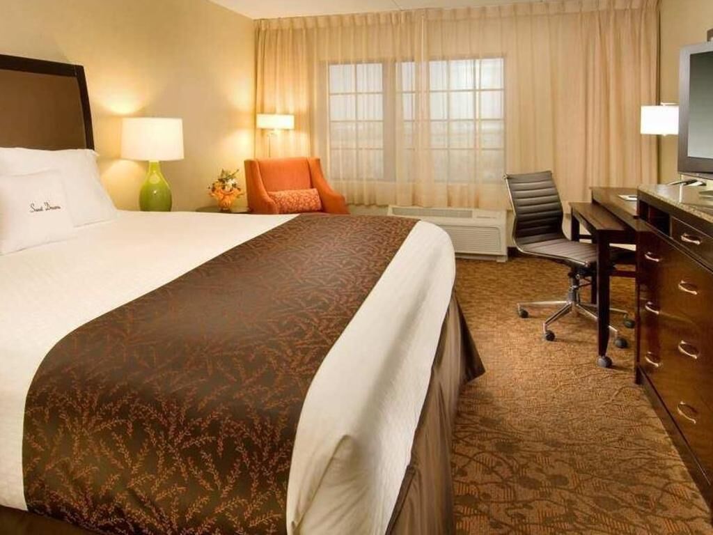 Pillowtop beds, in-room safe, blackout drapes, iron/ironing board