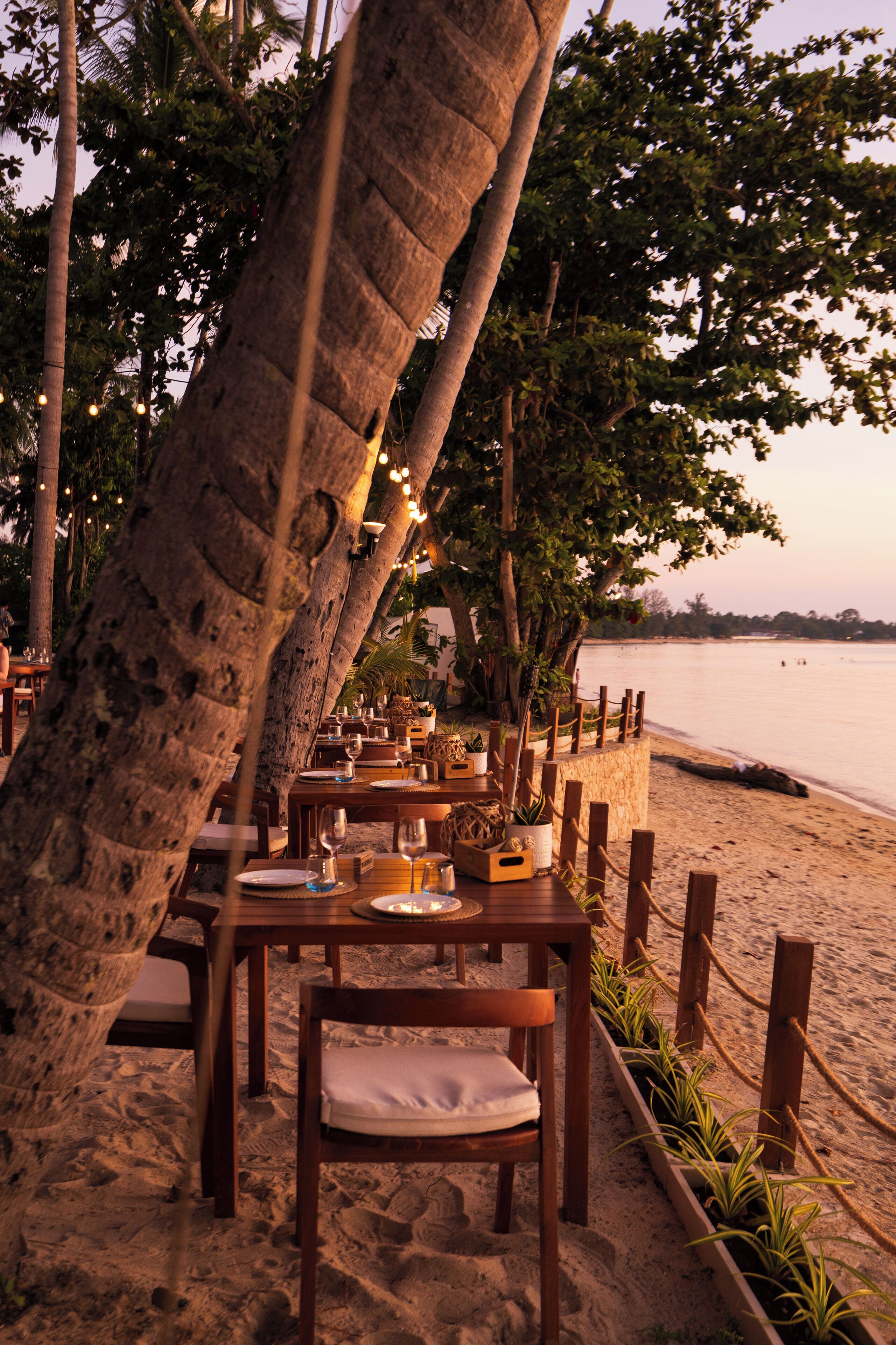 A beachfront dining area with wooden tables and chairs, surrounded by palm trees and plants, overlooking the sea.