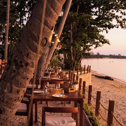 A beachfront dining area with wooden tables and chairs, surrounded by palm trees and plants, overlooking the sea.