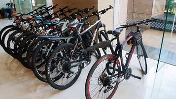 A row of bicycles parked indoors, likely in a bike rental or storage area.