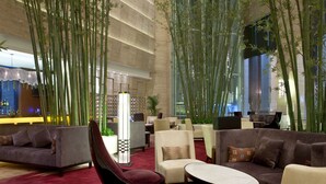 Eine moderne Lobby mit Sofas, Sesseln und einem roten Teppich.