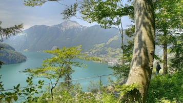 A mountainous landscape with a lake, a person walking on a path, and a tree in the foreground.