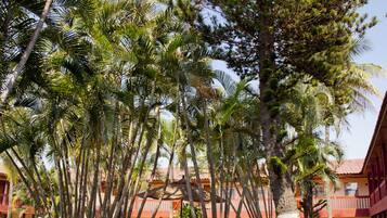 Área de parrilladas y picnic