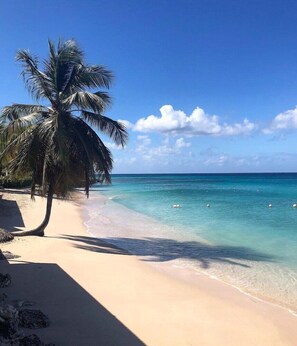 A beach with clear turquoise water, a palm tree, and a clear sky. - Sunswept Beach Hotel (Holetown)