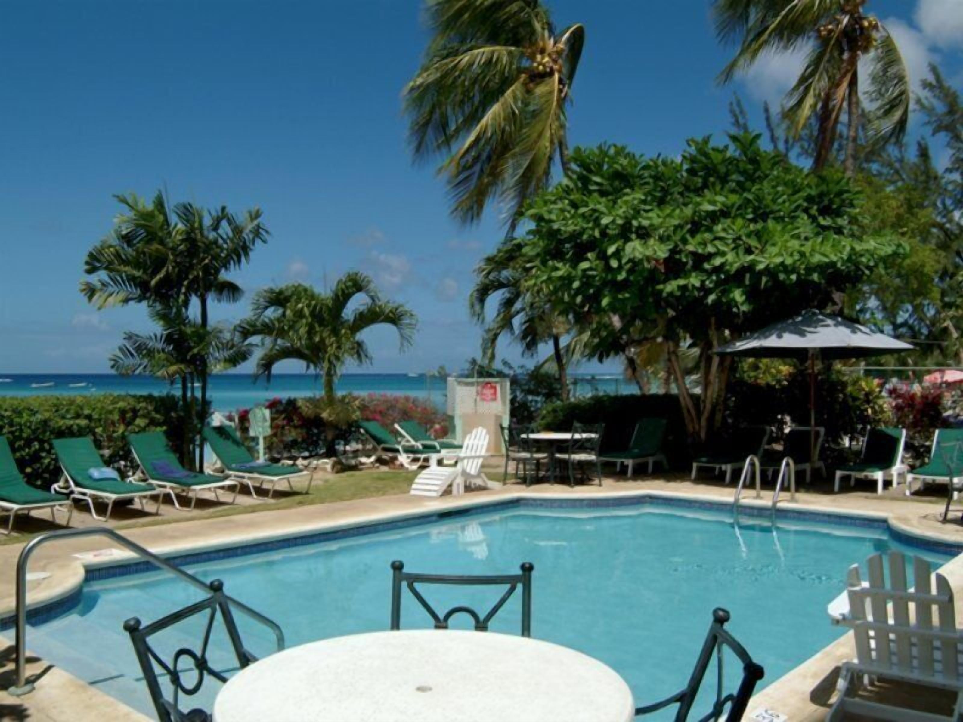 Outdoor pool, pool umbrellas, sun loungers