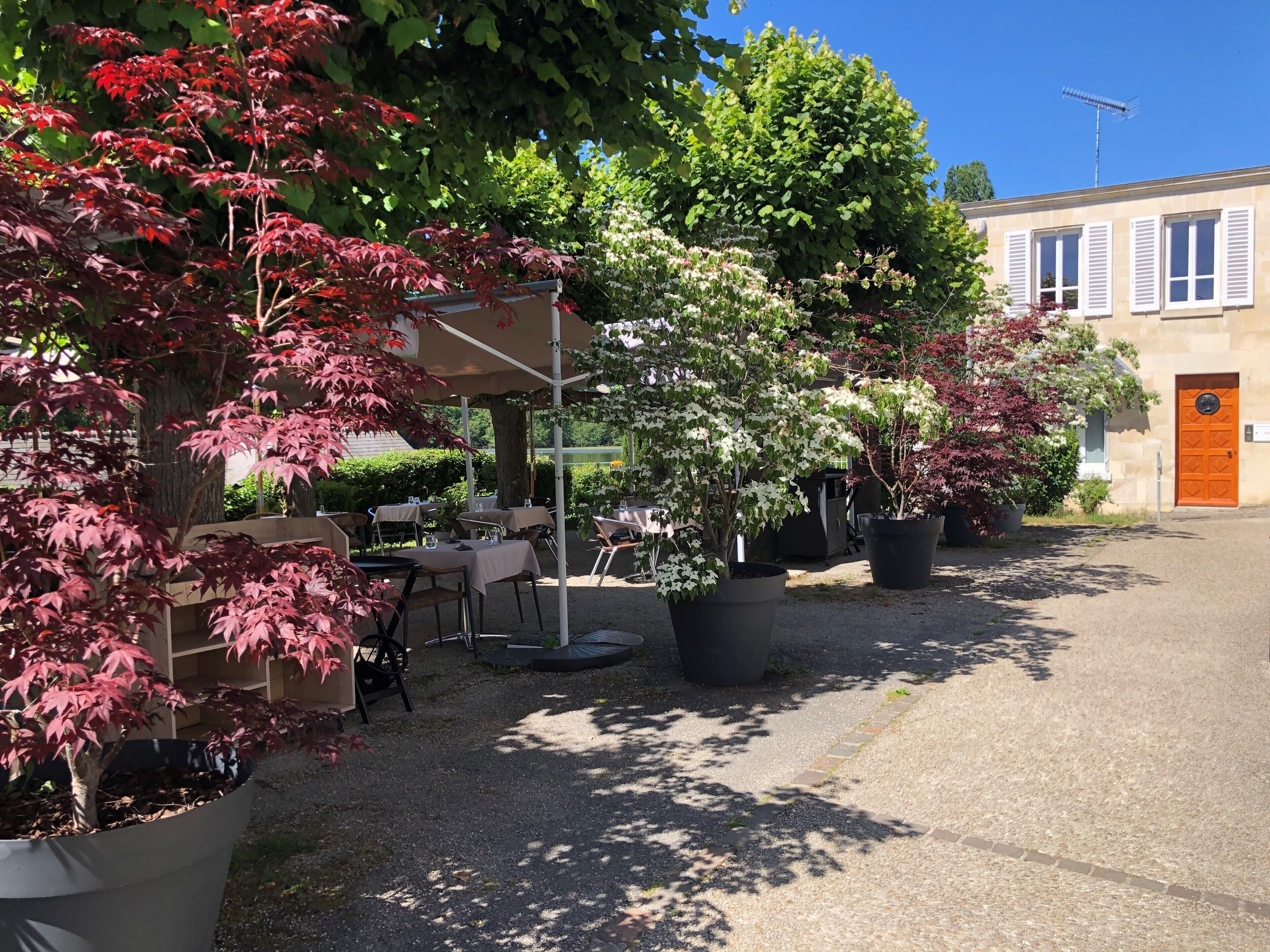 An outdoor seating area with tables and chairs, surrounded by potted plants and trees.