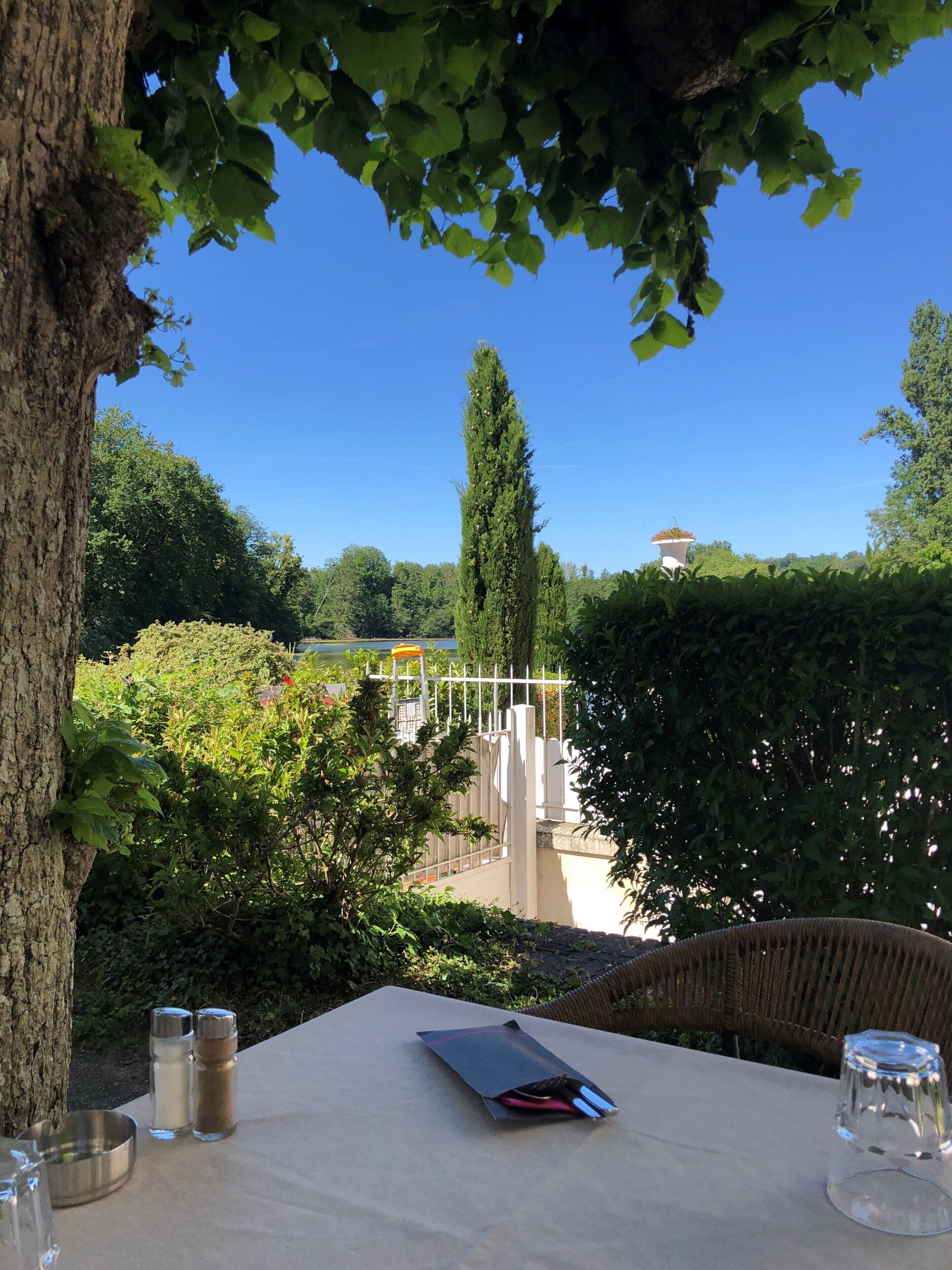 An outdoor dining area with a table, salt and pepper shakers, and a clear view of the surrounding garden and trees.