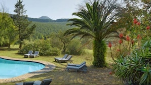 A pool area with lounge chairs and a palm tree. - The Foresters Arms (Mhlambanyatsi)