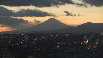 Un paisaje urbano con una montaña al fondo.