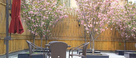 A patio area with wicker chairs, a red umbrella, and flowering trees.