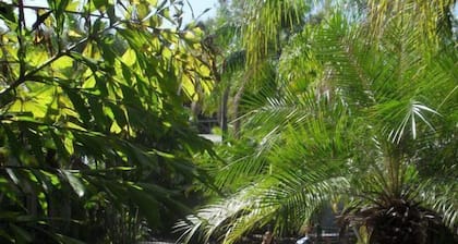 Nomads Hervey Bay - Hostel / Backpacker