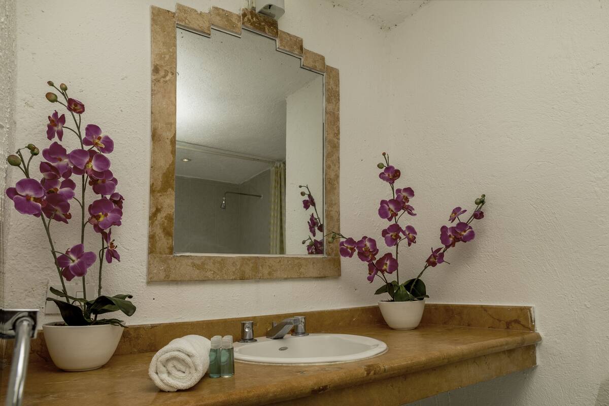 A bathroom with a white sink, a mirror, and two potted orchids.