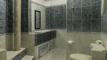 Regadera, regadera tipo lluvia, secadora de cabello, toallas