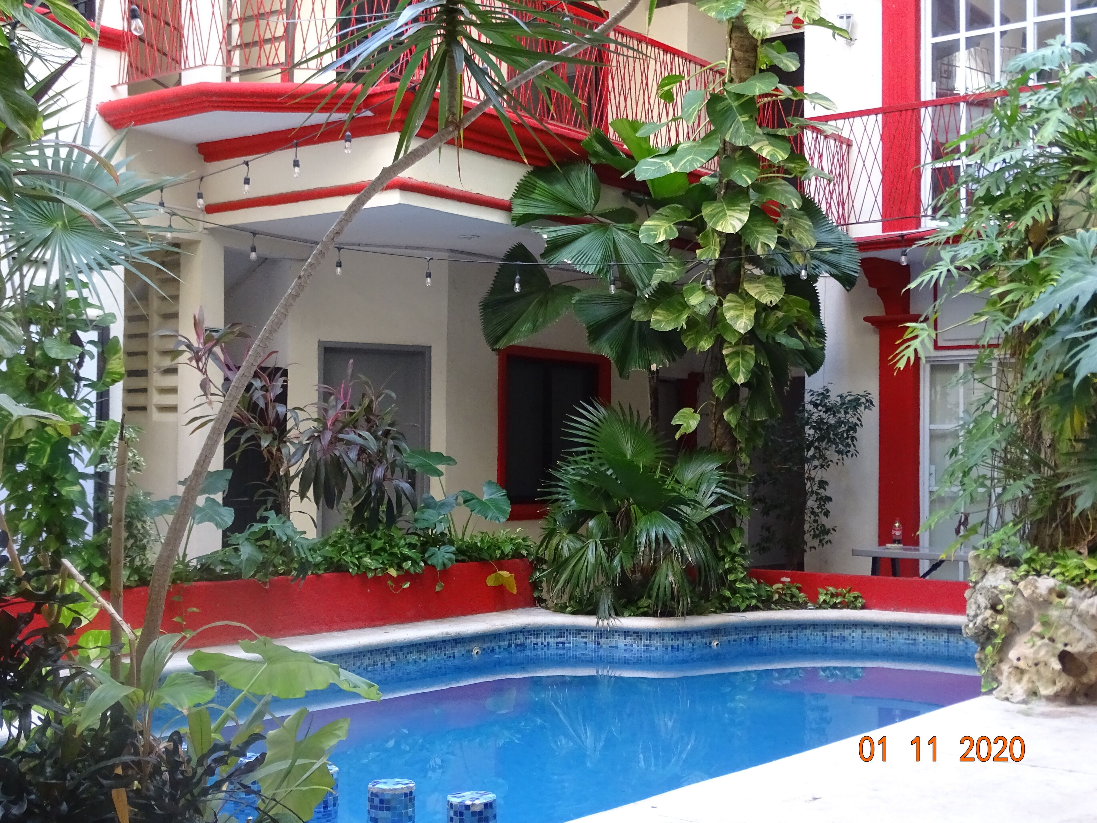 Ein Pool, umgeben von üppiger Vegetation und einem Gebäude mit roten Akzenten.