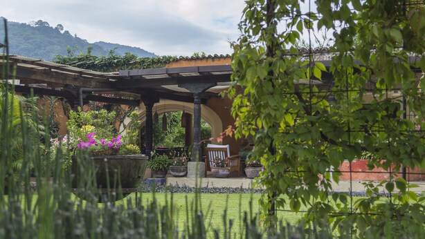 Ein Garten mit einer Pergola, Blumentöpfen und einem Stuhl.