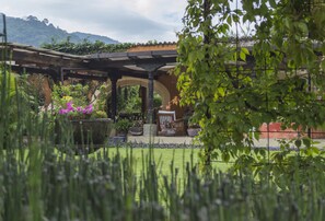 A garden with a pergola, potted plants, and a chair. - Casa Santa Rosa Hotel Boutique (Antigua Guatemala)