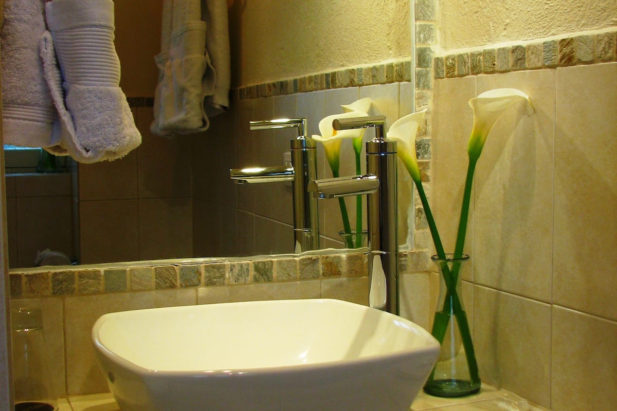 junior suite, 1 king bed - street side | bathroom | shower, free toiletries, hair dryer, towels