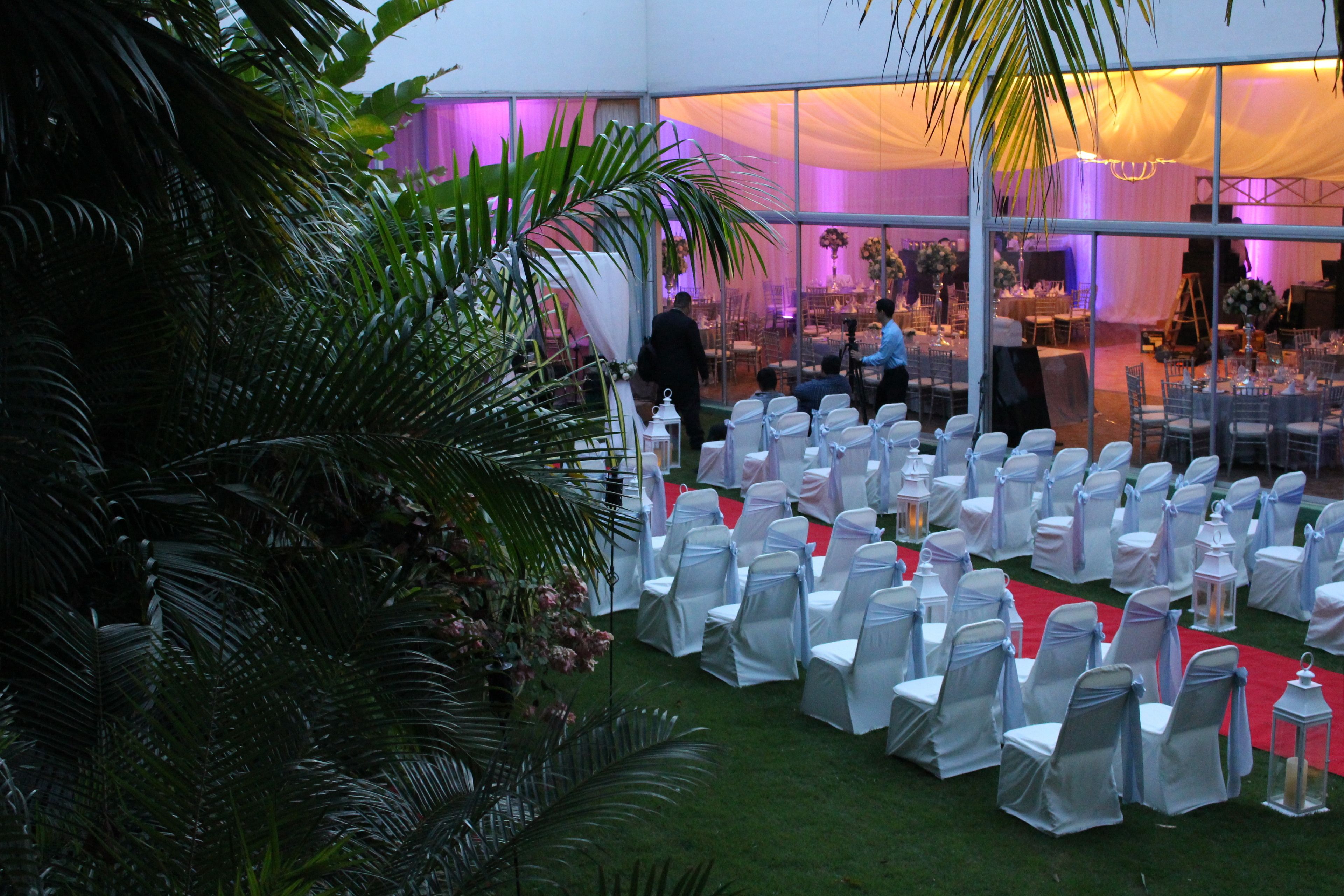 Un espacio para eventos en interiores con hileras de sillas y mesas blancas, rodeado de abundante follaje y una alfombra roja.