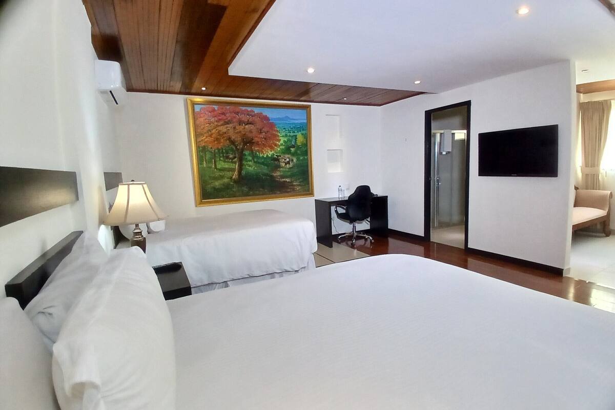 standard double room | 1 bedroom, premium bedding, down duvets, pillow-top beds