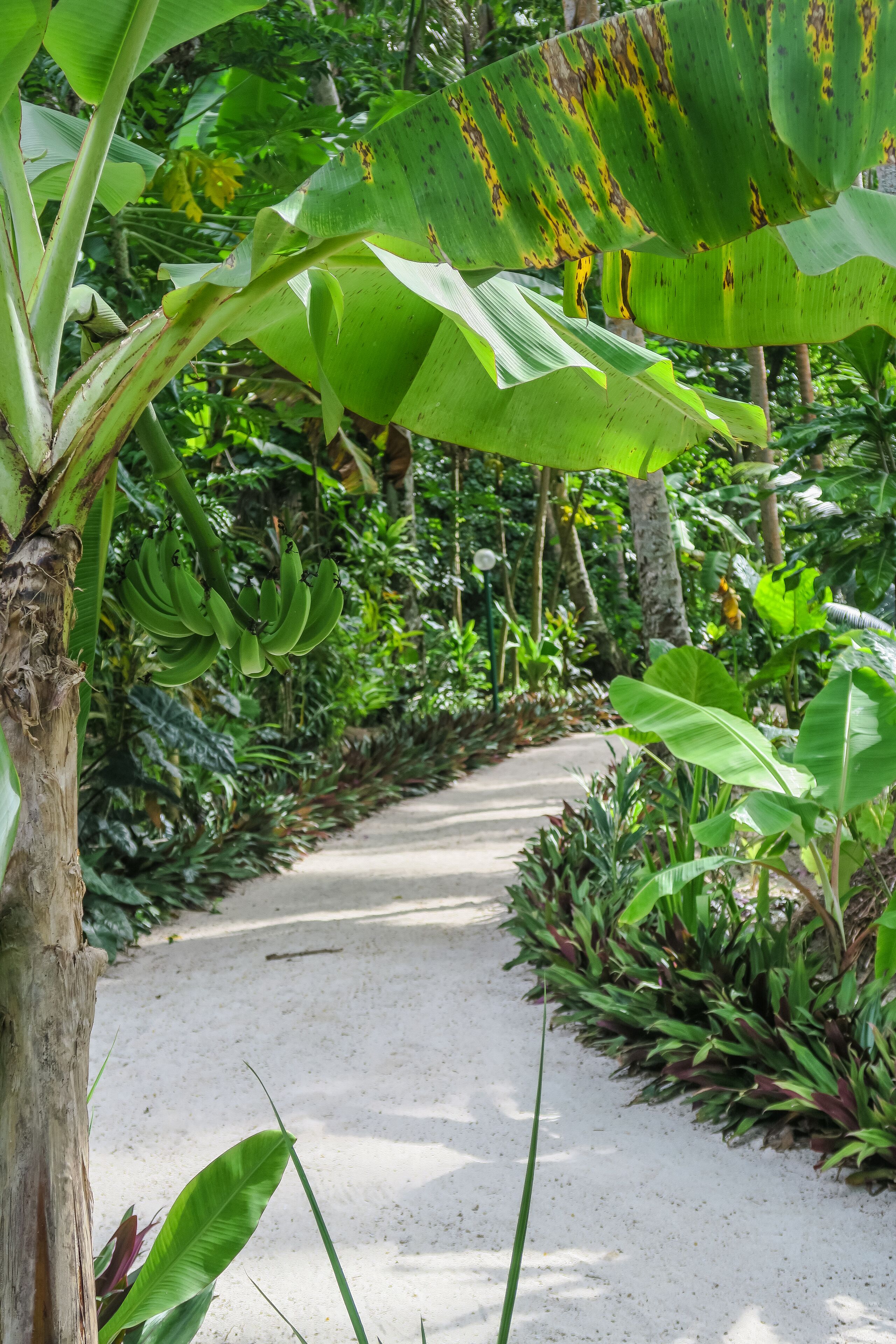 Photo - Erakor Island Resort & Spa