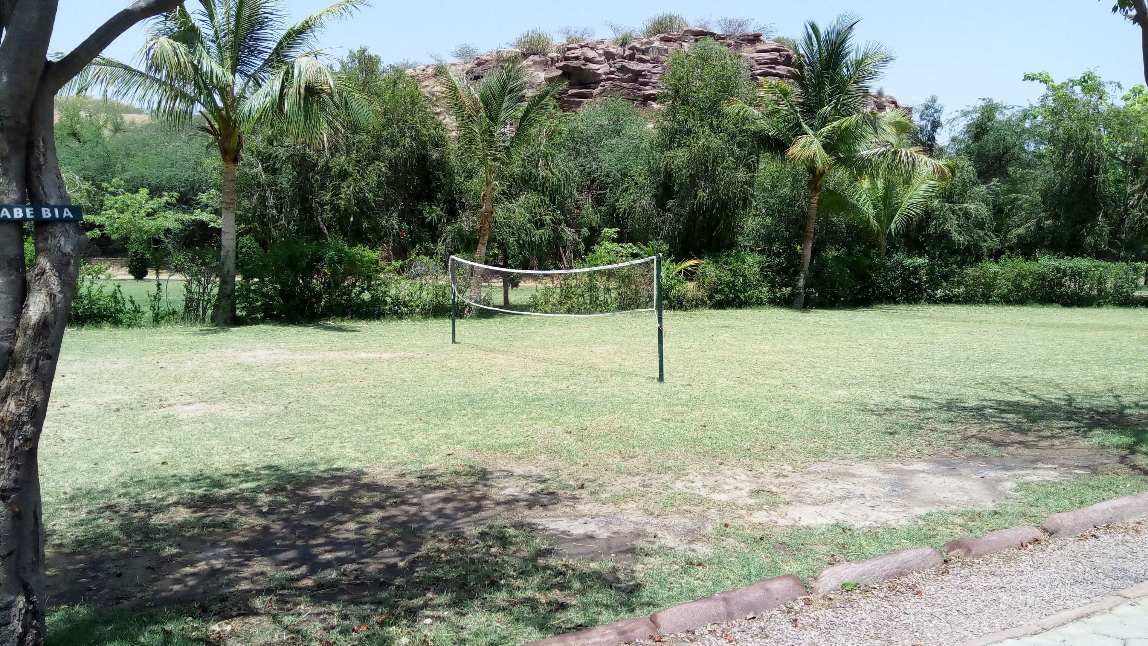 A grassy area with a volleyball net, surrounded by trees and a rocky hill in the background.
