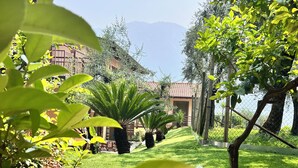 Un jardín bien cuidado con diversas plantas y árboles, un sendero despejado y un edificio con techo de tejas al fondo.