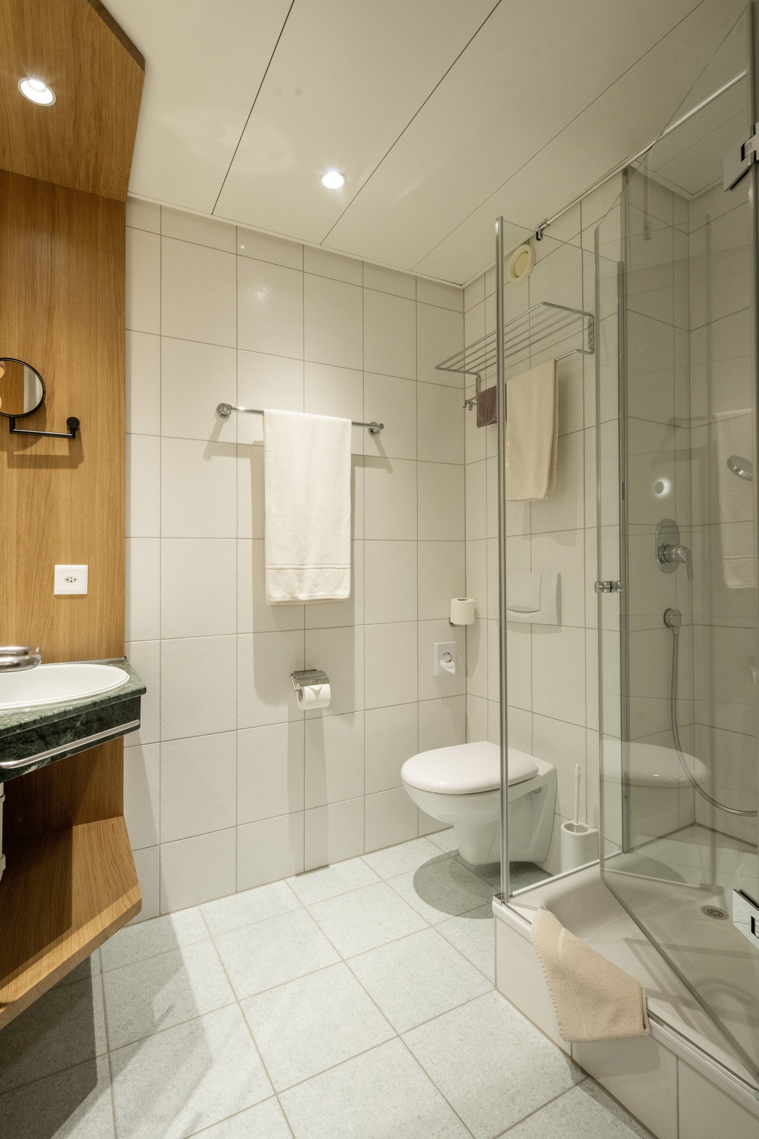 A modern bathroom with a glass shower enclosure, a toilet, and a vanity with a sink.