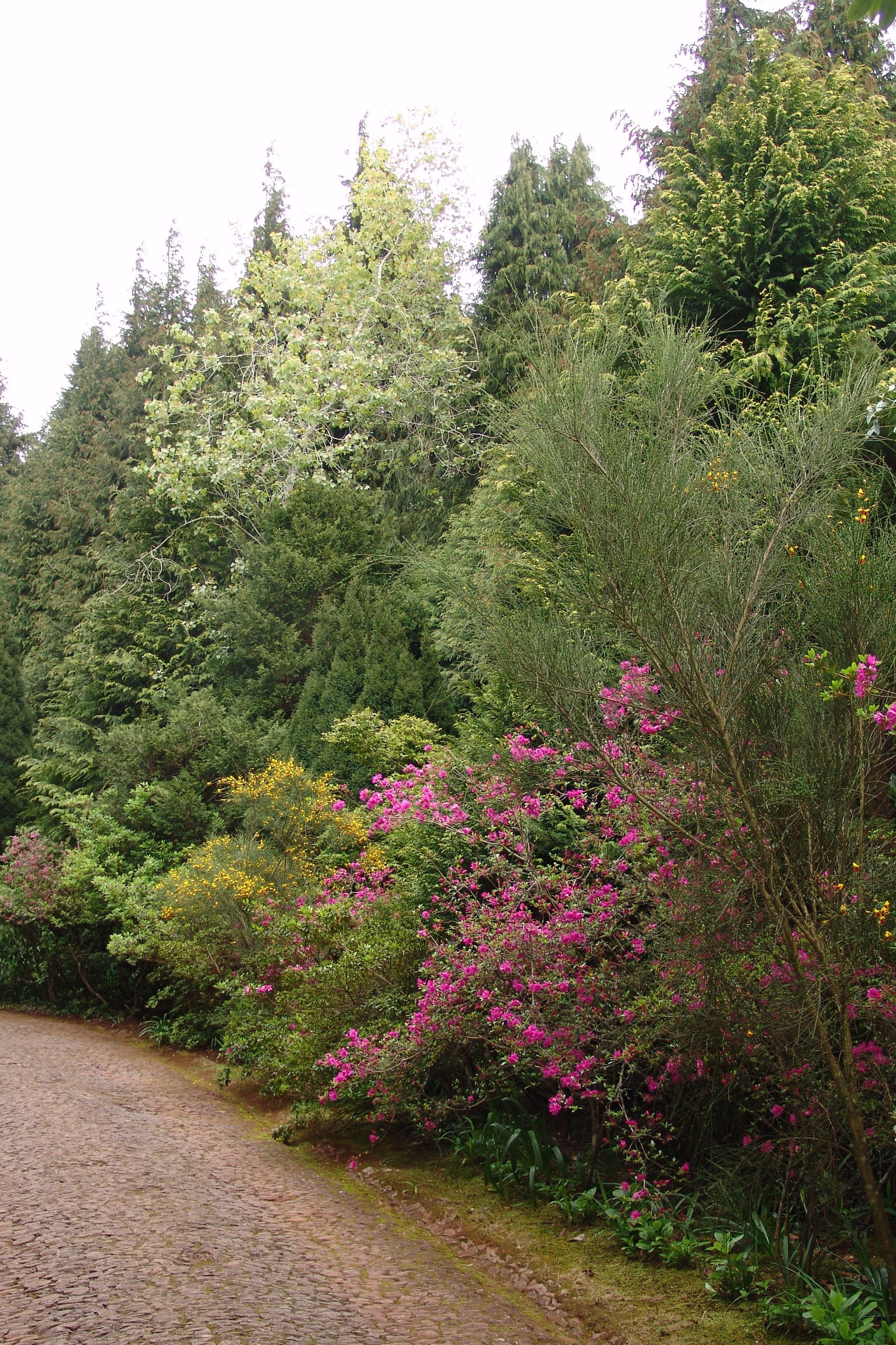 Photo - Quinta Santo Antonio Da Serra