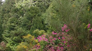 Un sendero empedrado que serpentea por un bosque frondoso, con diversos árboles y arbustos florecientes.