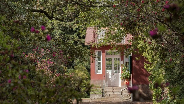 Un petit bâtiment rouge avec une porte et des fenêtres blanches, entouré d’une végétation luxuriante et de fleurs roses.