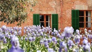 A building with a red facade and green shutters, surrounded by a field of purple flowers. - Hotel Rural Son Bernadinet (Campos)